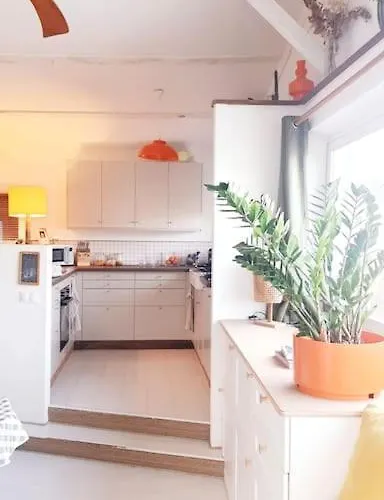 - House シャレー *
