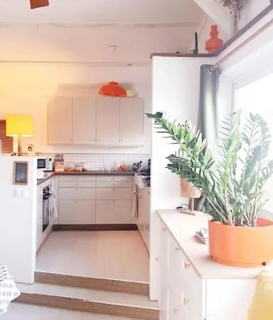 - House Chalet *