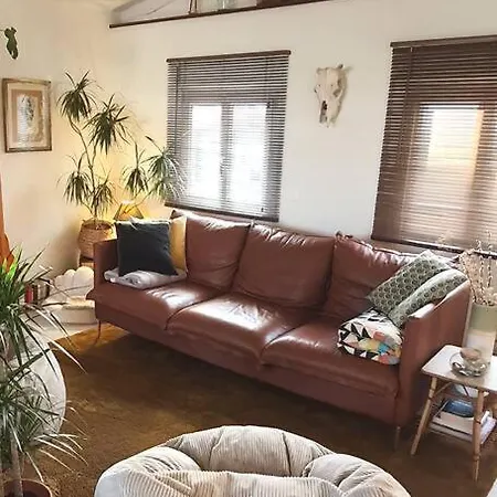 - House Chalet Gruissan